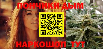 шишки Камышлов